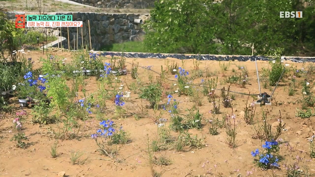 TV - 전 국민의 평생학교 EBS농막 지으려다 지은 집.mp4_20230925_211457.160.jpg