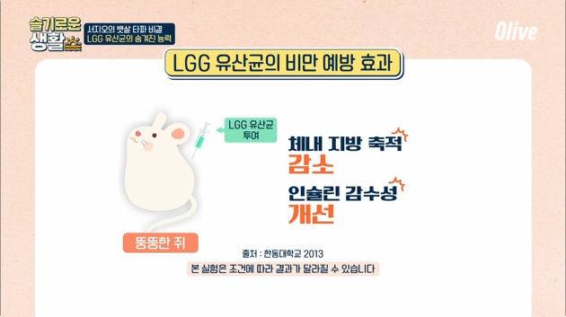 LGG 유산균 효능 먹는법 총정리
