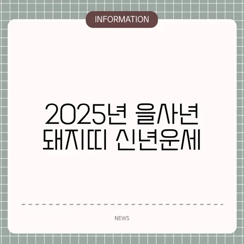 2025년 을사년 돼지띠 신년운세