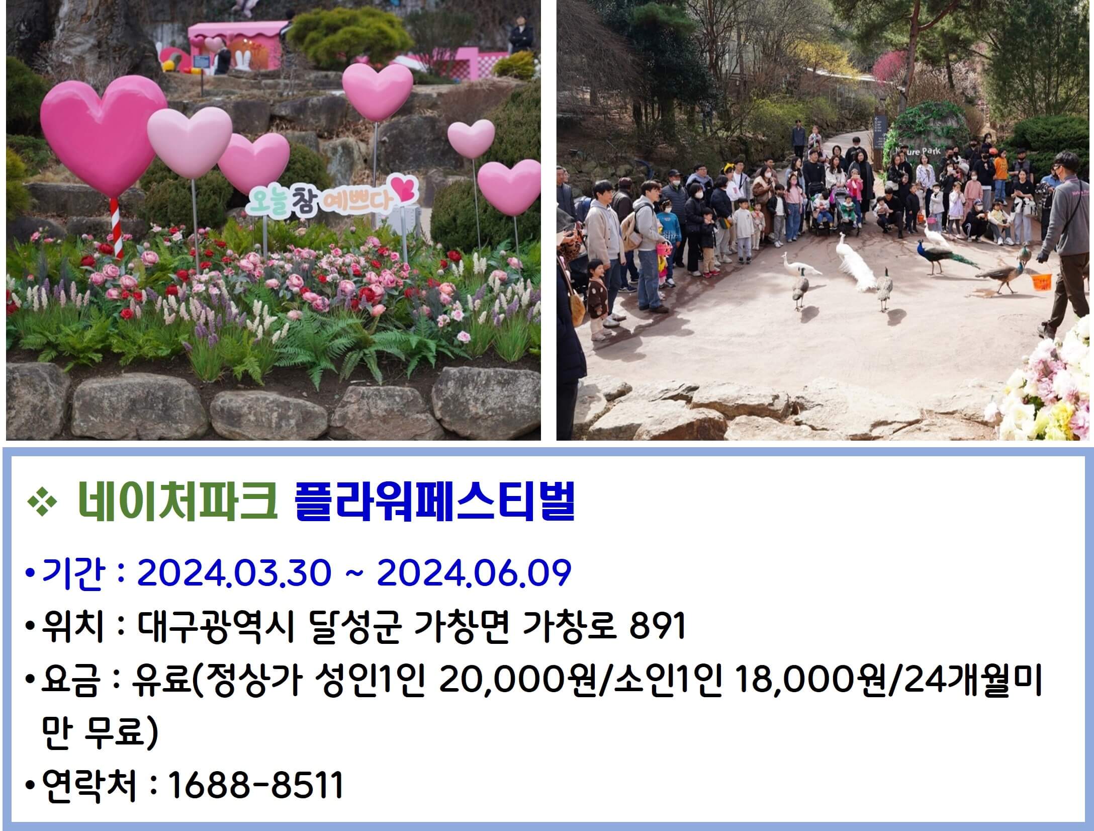네이처파크 플라워페스틸벌