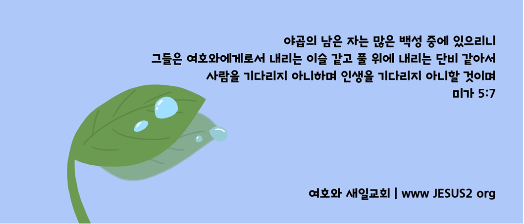  여호와 새일교회 이미지