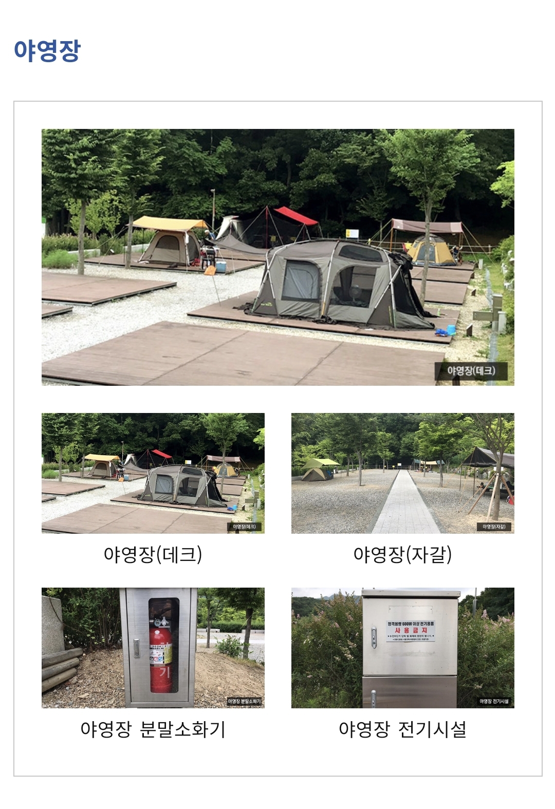 느티나무야영장 이미지