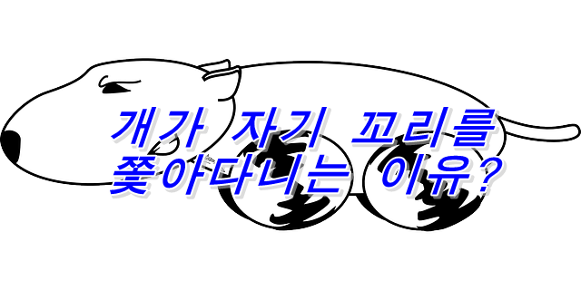  개가 자기 꼬리를 쫓아다니는 이유?