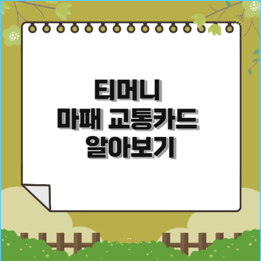  티머니 마패 교통카드 알아보기(가격, 판매처)