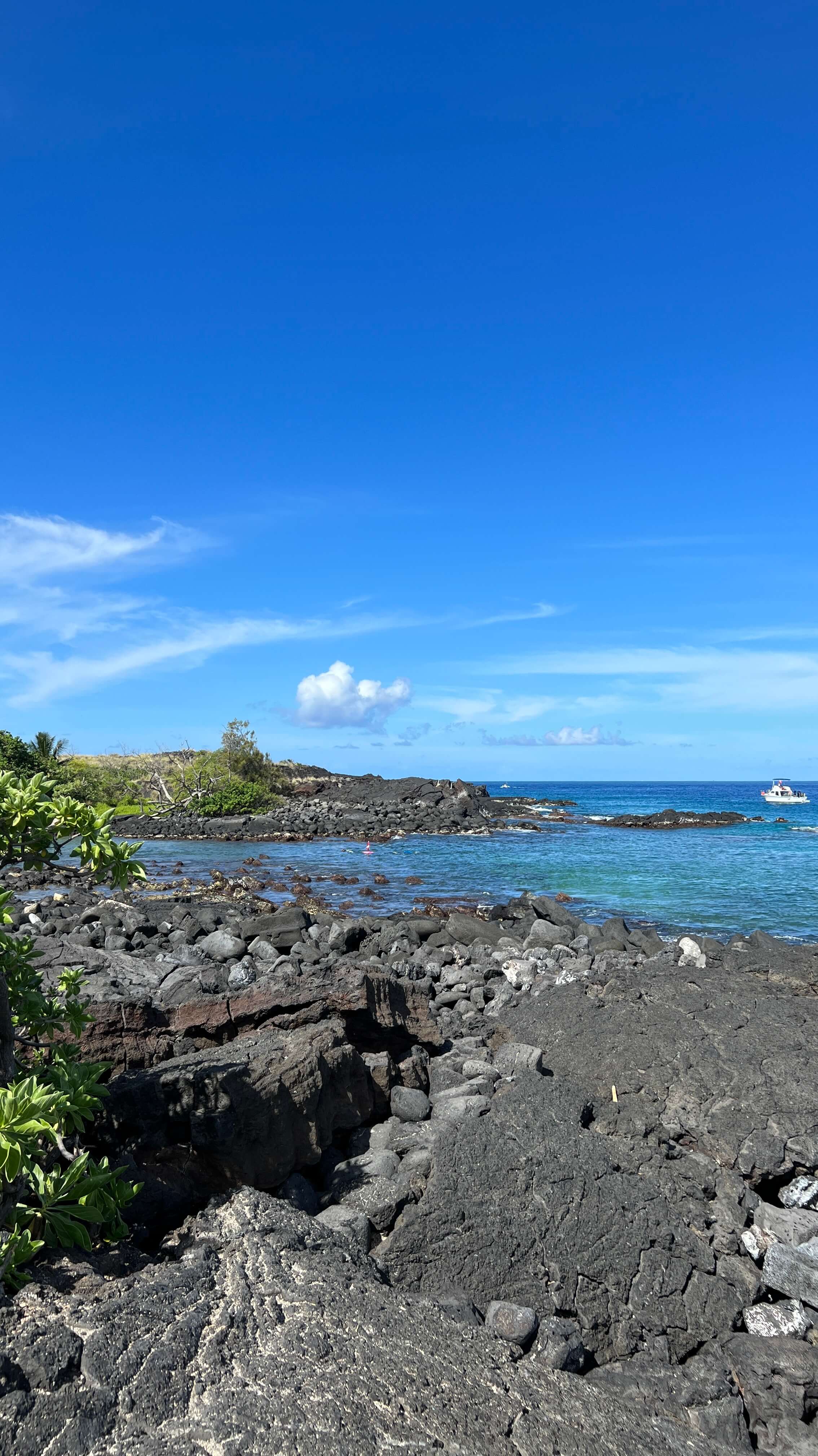 Honokohau Harbor