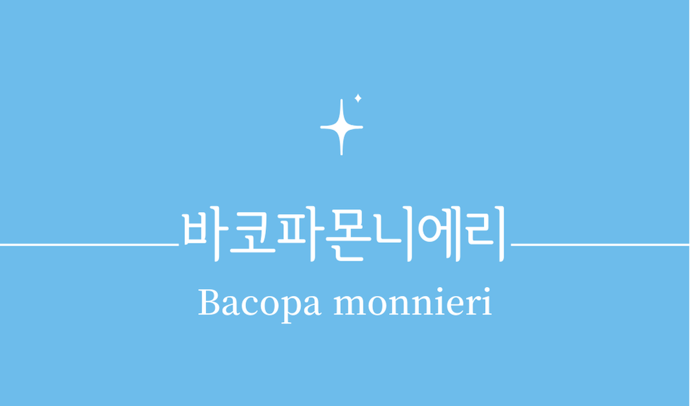 '바코파몬니에리(Bacopa monnieri)'