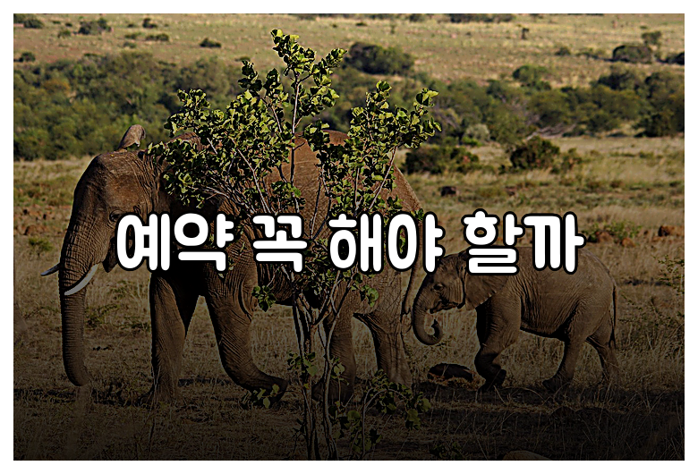 예약 꼭 해야 할까