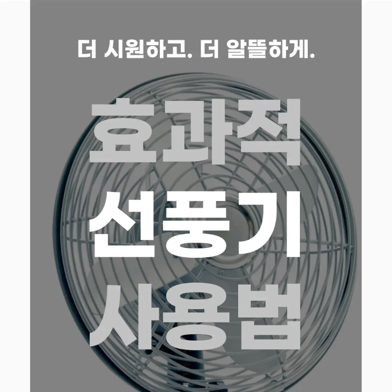 선풍기-효과적-사용법-메인사진