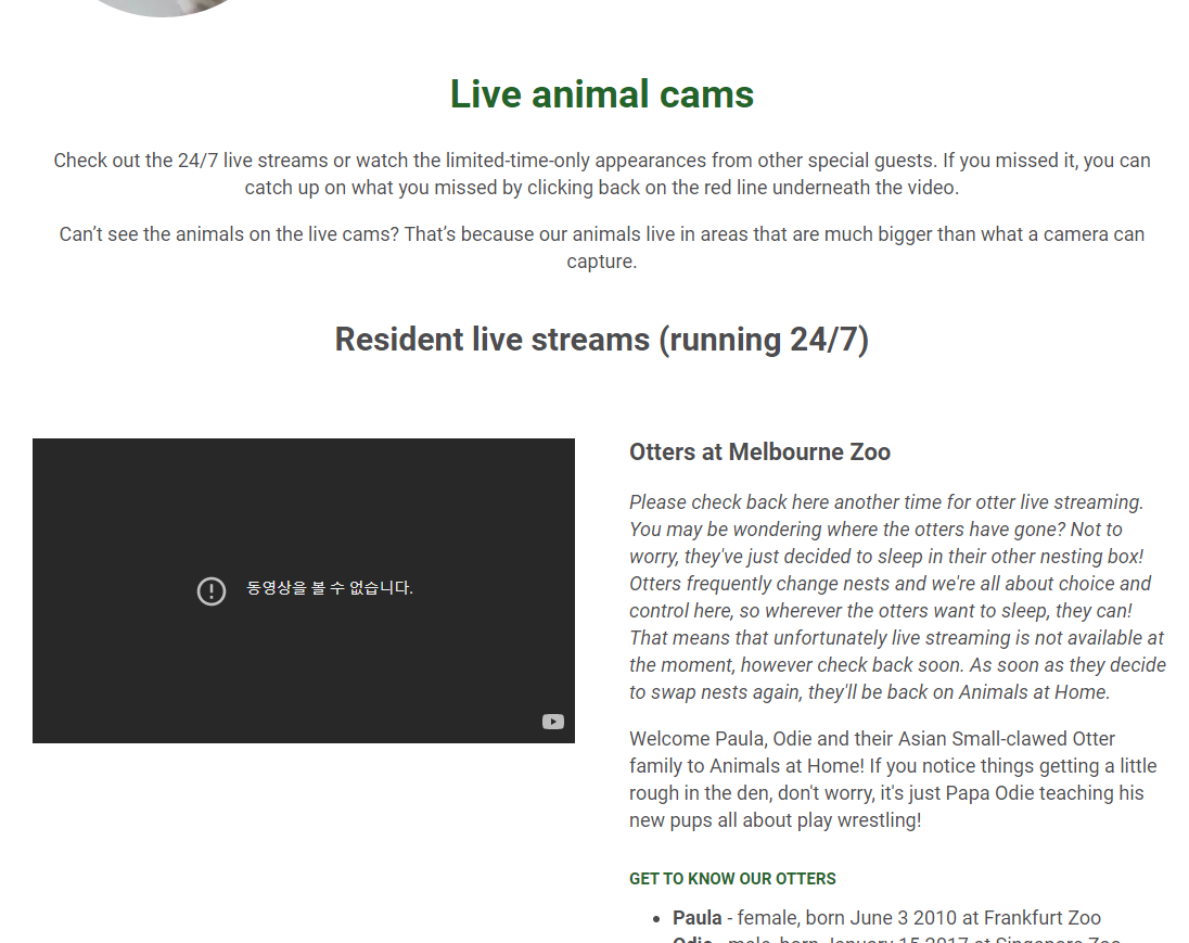 호주-멜버른-동물원-실시간영상-수달-사육장