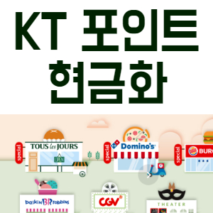  KT 포인트 현금화