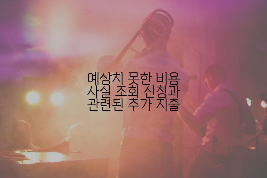 예상치 못한 비용 사실 조회 신청과 관련된 추가 지출