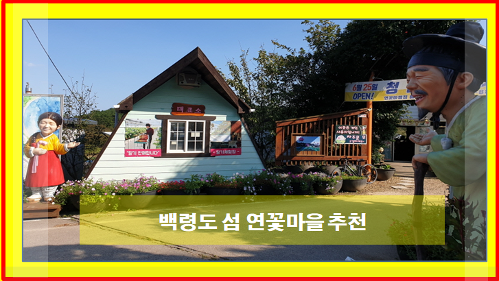  백령도 섬 연꽃마을 관광지 추천