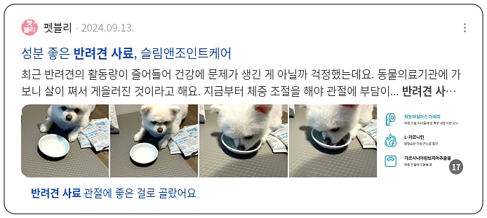 반려견 사료_3_subsection
