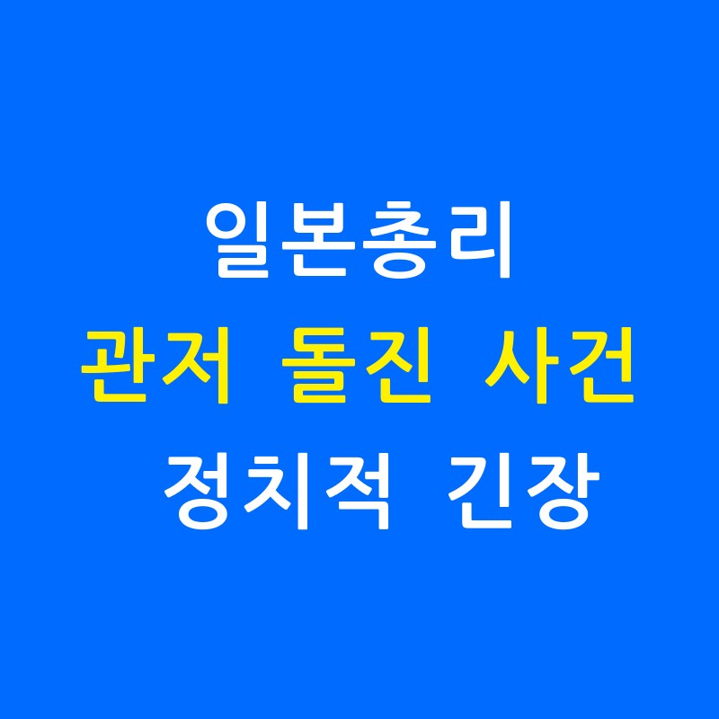 일본 총리 관저 돌진 사건: 정치적 긴장의 상징 일본 총리 관저 돌진 사건: 정치적 긴장의 상징