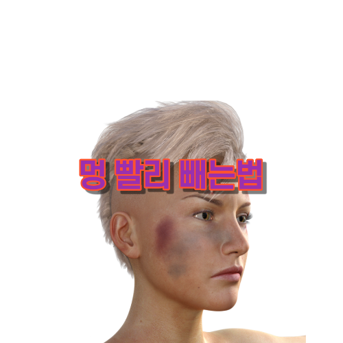 멍 빨리 빼는법 - 웰컴 세렝게티 월드 멍 빨리 빼는법 - 웰컴 세렝게티 월드