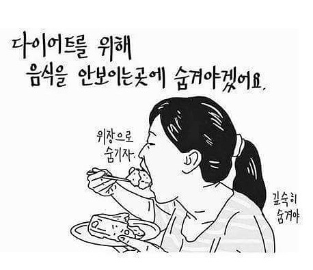 다이어트짤