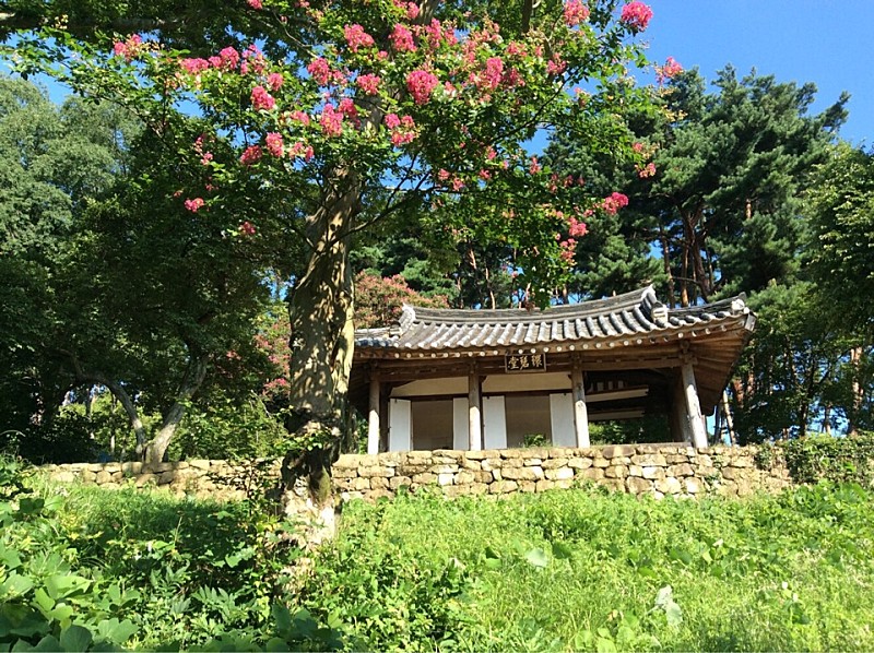  광주 환벽당 일원&먹거리