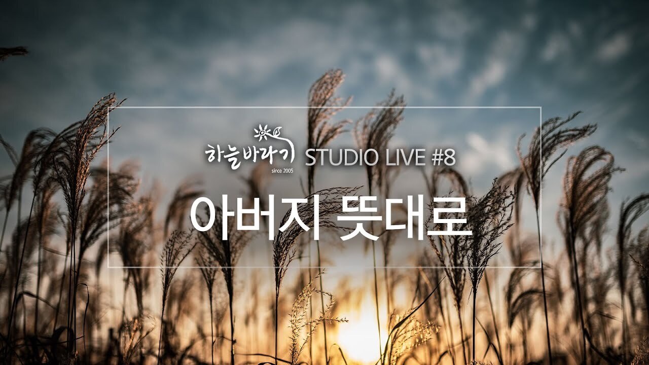  [뮤직] 아버지 뜻대로: 하늘바라기