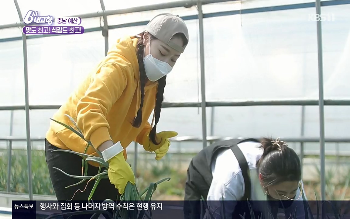 6시 내고향.E7515.220409p-NEXT.mp4_20220414_163529.051.jpg
