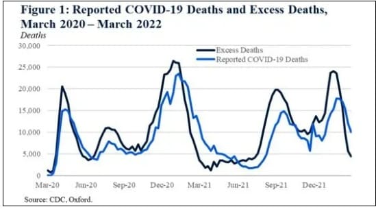 사망률 증가와 인과관계 있는 백신: MIT 연구팀 COVID Vaccines Causally Linked to Increased Mortality&#44; Resulting in 17 Million Deaths: Scientific Report