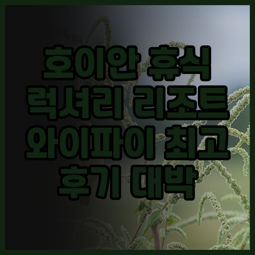 와파이포 리조트 호이안 후기 최고! 