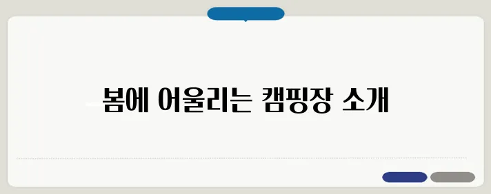 벚꽃 캠핑장 TOP 5! 로맨틱한 봄 여행지 추천