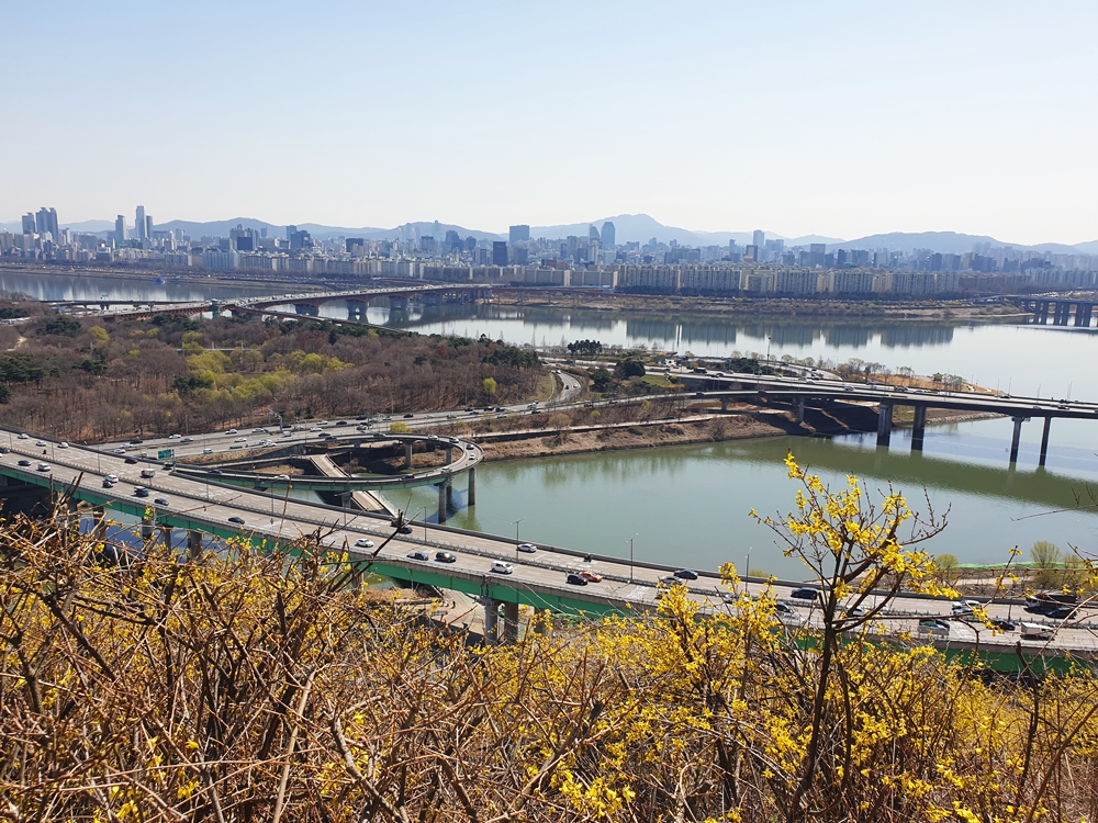서울시내-조망