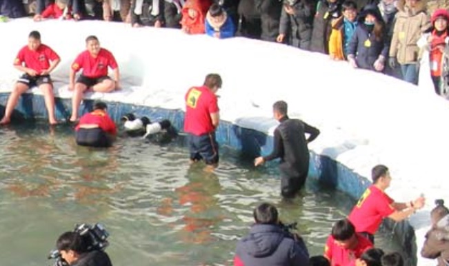 산천어맨손잡기