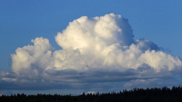 폐기종 증상, 원인, 치료 및 폐암과의 관계 총정리