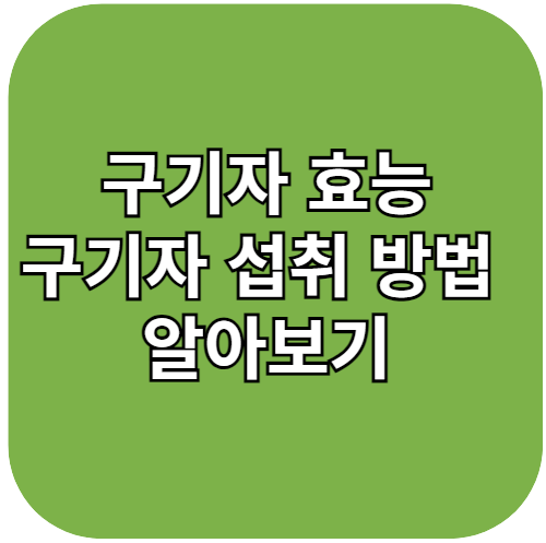 구기자효능, 구기자효능과 부작용 - 구기자차 , 구기자 먹는법 알아보기