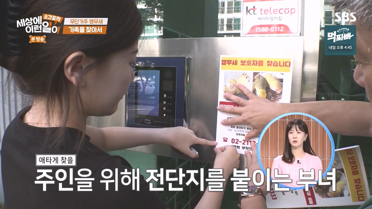 순간포착 세상에 이런일이.E1248.231015p-NEXT.mp4_20231015_164754.536.jpg