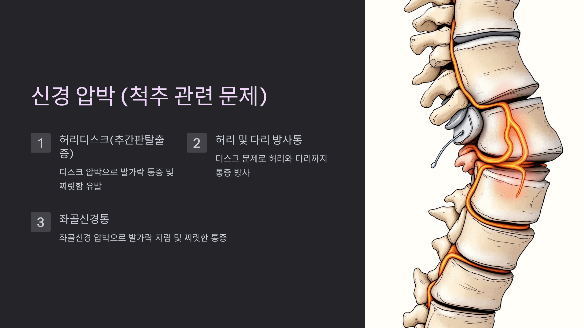 발가락 사진입니다.