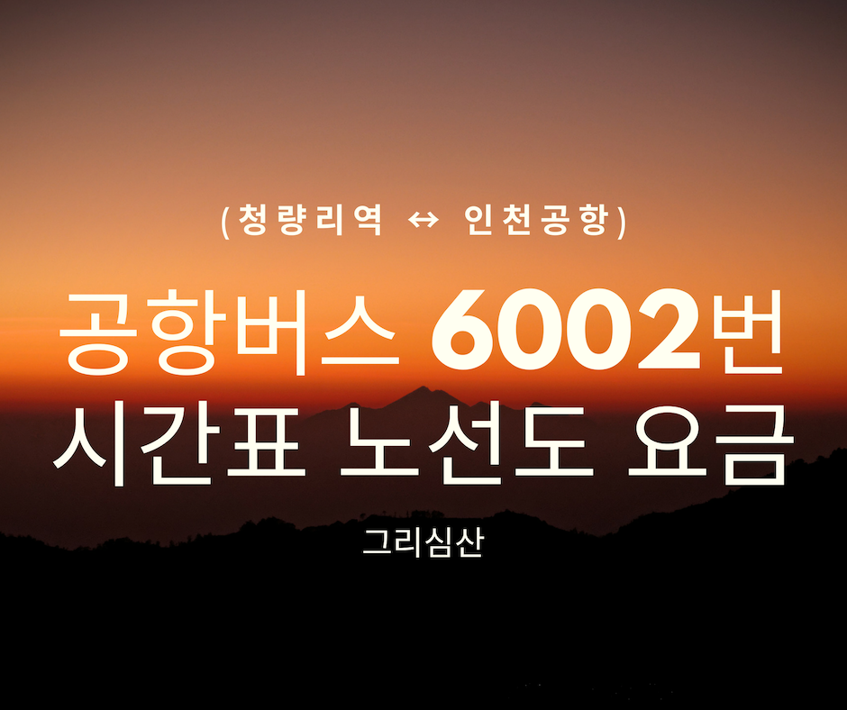  공항버스 6002번 시간표 노선도 요금 [청량리역 ↔ 인천공항]