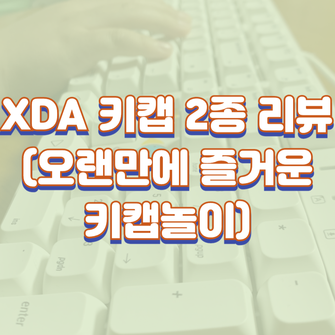  XDA 키캡 2종 리뷰(오랜만에 즐거운 키캡놀이, XDA장점 단점)
