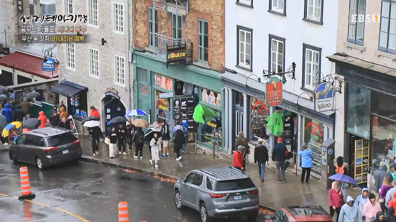 세상의모든기행꿈꾸던 가을로 캐나다 동부-다시 올 이유, 단풍국.mp4_20231127_205042.720.jpg