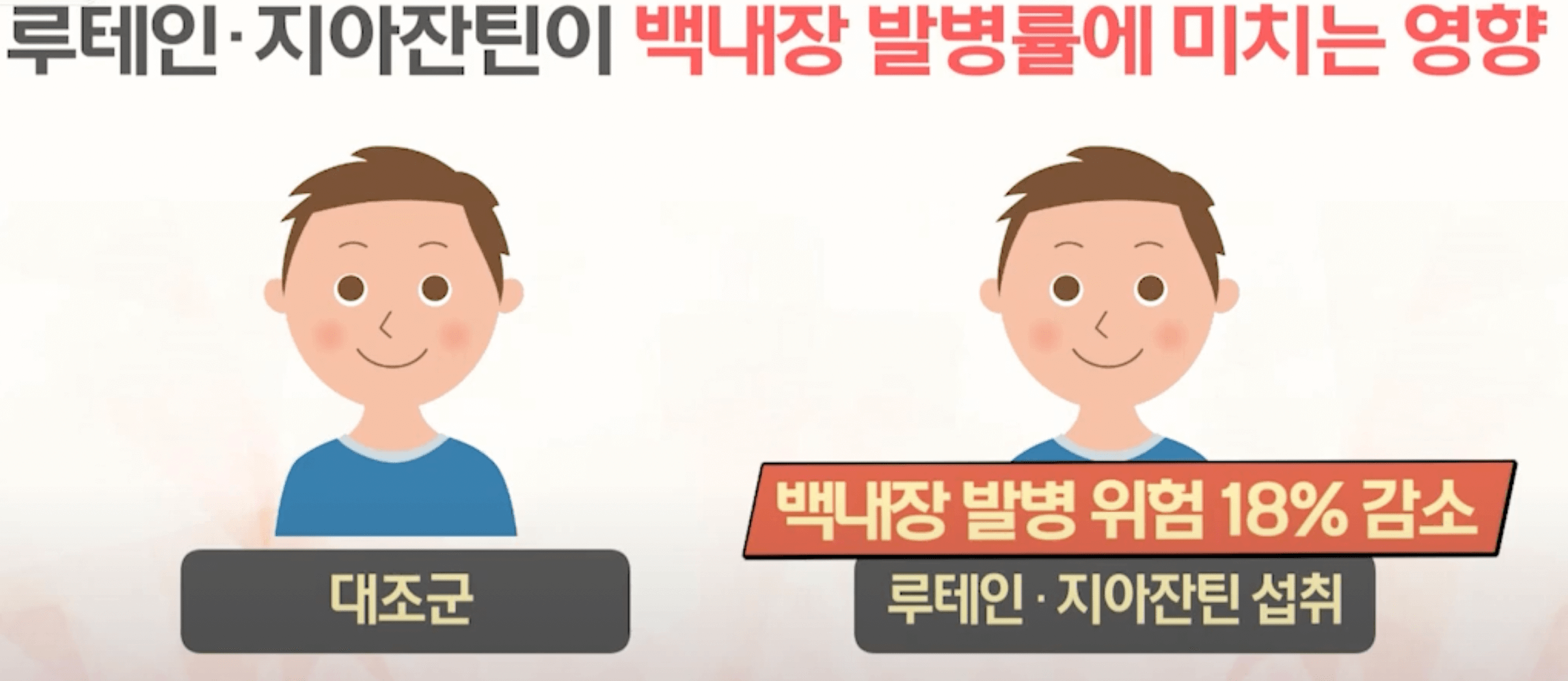 루테인 지아잔틴 백내장 발병률 감소