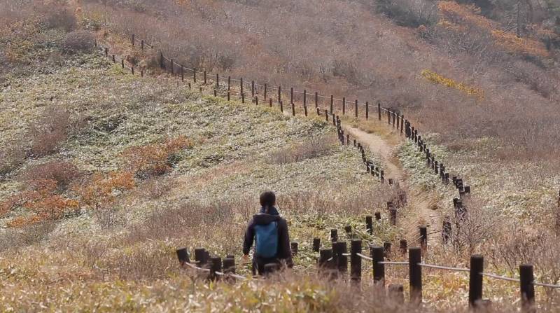  천상의 길 덕유산 하이킹 등산 둘레길 추천 아주 각별한 기행 김섬주의 로드테라피