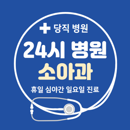 개포동-24시간-병원-소아과-토요일-야간-일요일-진료-당직병원-찾기