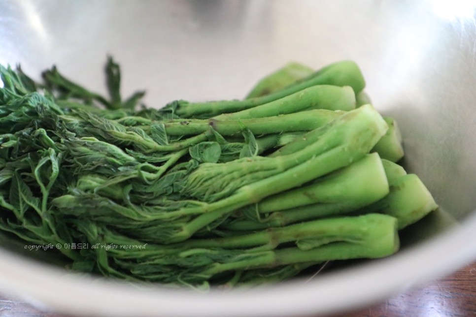 만들고 영양도 맛도 좋아요~ 오가피 요리!쇠고기 오가피꼬치 2