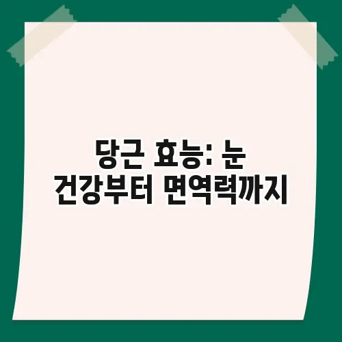 당근 효능: 눈 건강부터 면역력까지, 놀라운 효과 총정리
