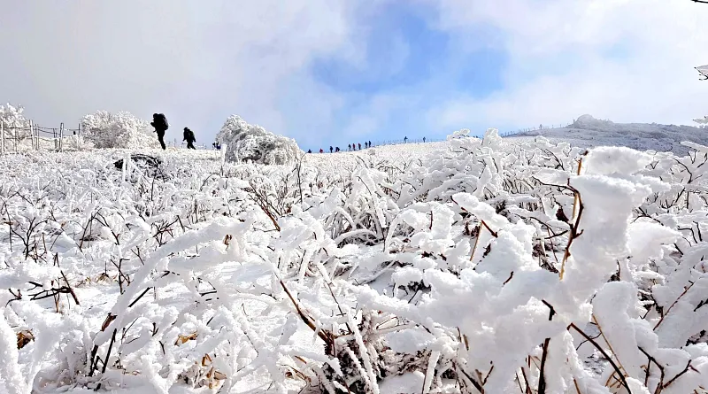 소백산 설경