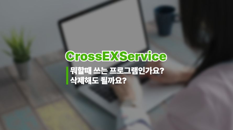 CrossEXService는 어떤 프로그램가요? 삭제해도 되나요?