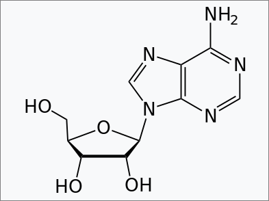 아데노신 분자구조