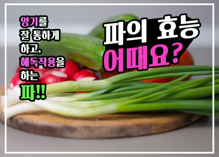  파의 효능은? 파는 양기를 잘 통하게 하고, 해독 작용을 해요! 파의 효능과 파의 부작용