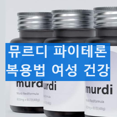 뮤르디 파이테론 내돈내산 후기 효과 복용법 주의사항