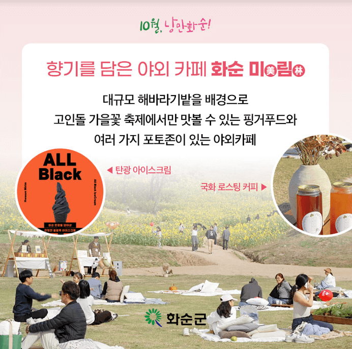화순고인돌가을꽃축제 입장료 화순사랑상품권 환급 주차 가수