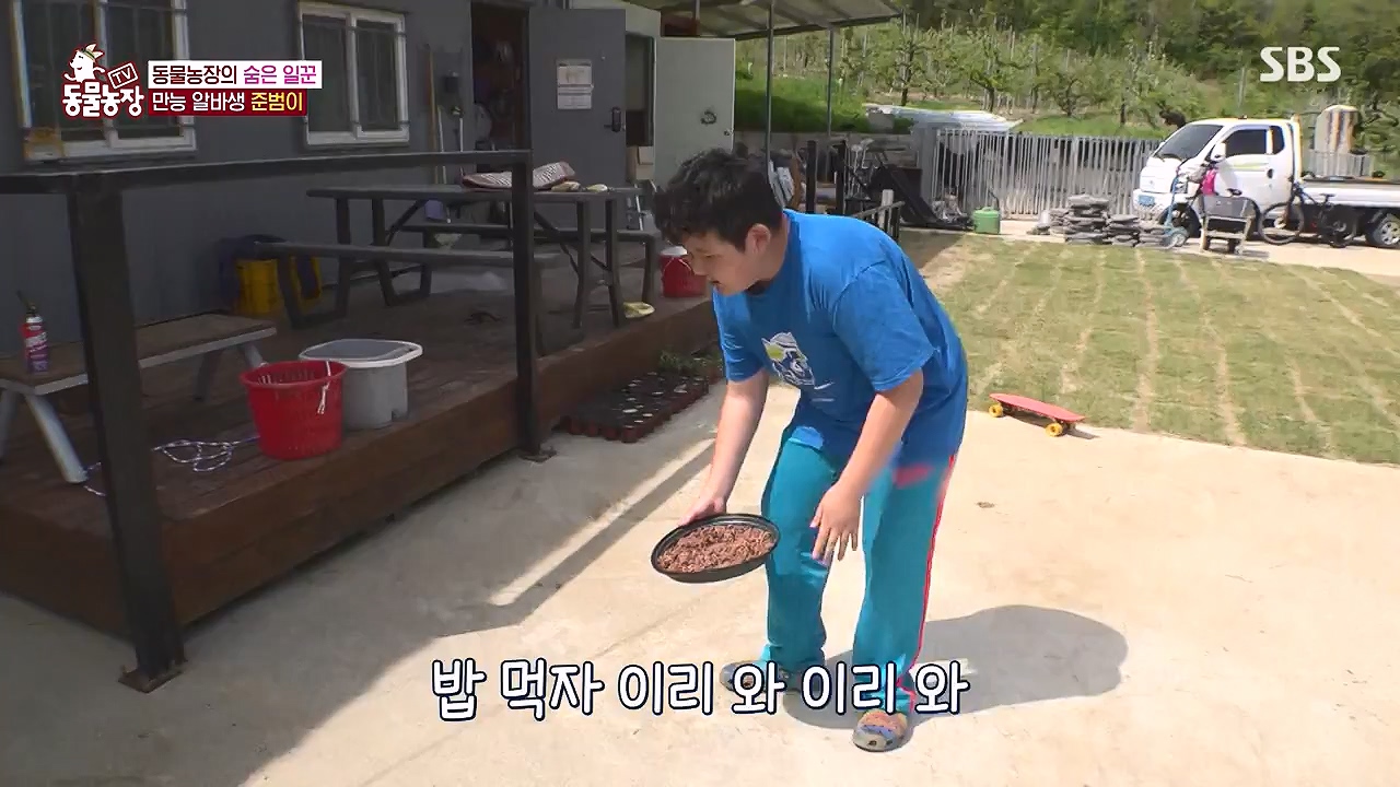 TV 동물농장.E1176.240617p-NEXT.mp4_20240616_171019.761.jpg