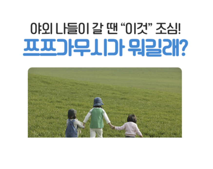  쯔쯔가무시 증상, 잠복기간, 치료, 예방 등 알아보기