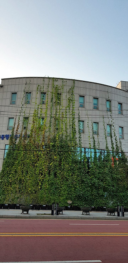 kbs1tv 다큐온 KBS1TV // 회천3동 생태그늘막 21