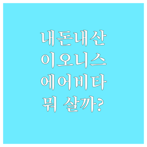 내돈내산 후기 이오니스 vs 에어비타